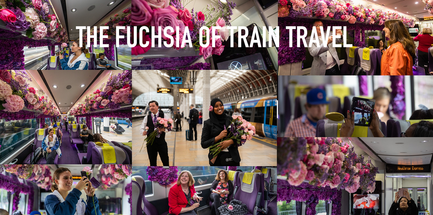 THE FLOWER EXPRESS 72Point.